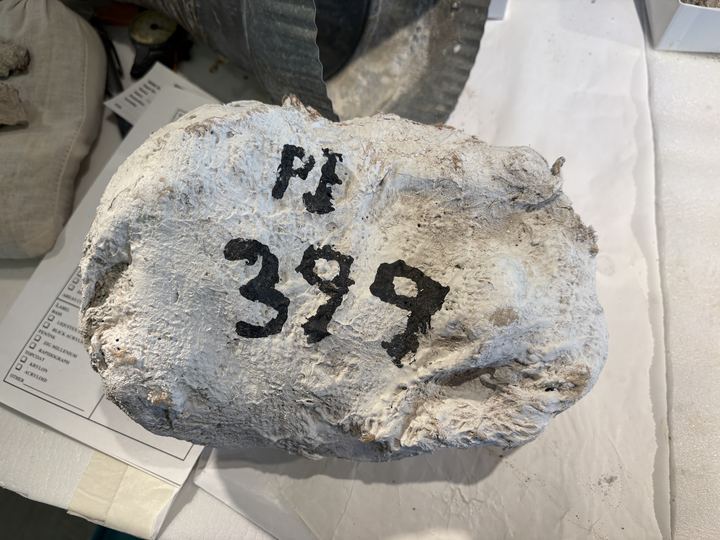 Closed plaster field jacket on a lab bench