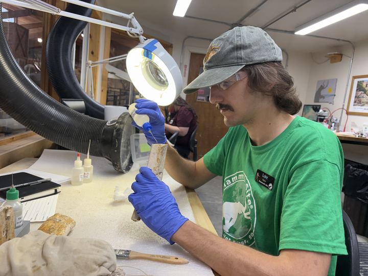 Luke at a preparation bench in safety glasses and nitrile gloves, applying consolidant to a piece of bone under a magnifier lamp with a dust extraction hose beside him